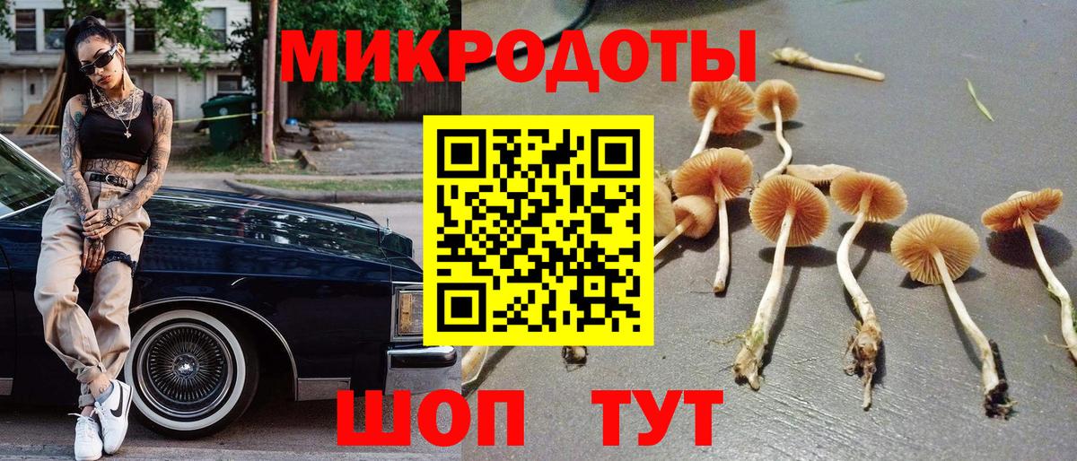 Галлюциногенные грибы прущие грибы Дедовск