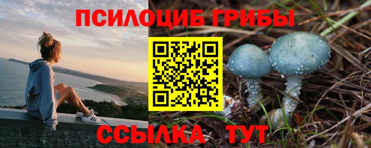 Галлюциногенные грибы Psilocybine cubensis  Вход с VPN  Псилоцибиновые грибы мухоморы  где можно купить наркотик  Дедовск 